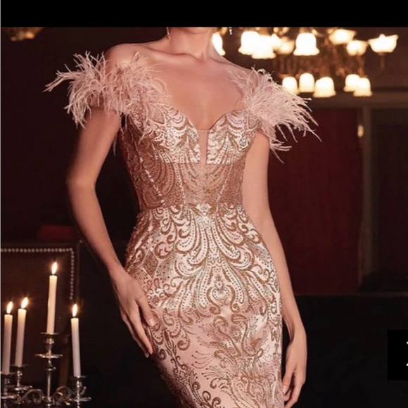 Turn heads in this Beautiful Rose Gold formal dress. Only worn ONCE - Picture 6 of 6